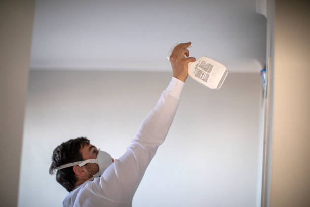 Best Mold Damage Repair  in Cathcart, WA
