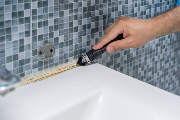 Best Professional Mold Removal  in Cathcart, WA