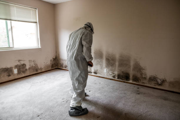 Best Commercial Mold Removal  in Cathcart, WA