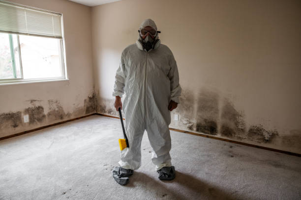 Best Crawl Space Mold Removal  in Cathcart, WA