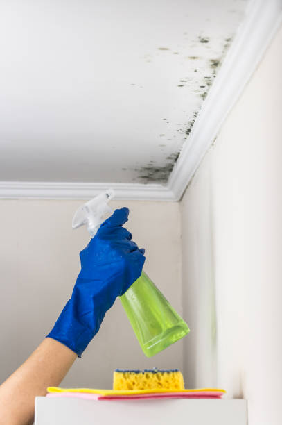 Best Mold Remediation  in Cathcart, WA
