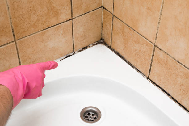 Best Attic Mold Removal  in Cathcart, WA